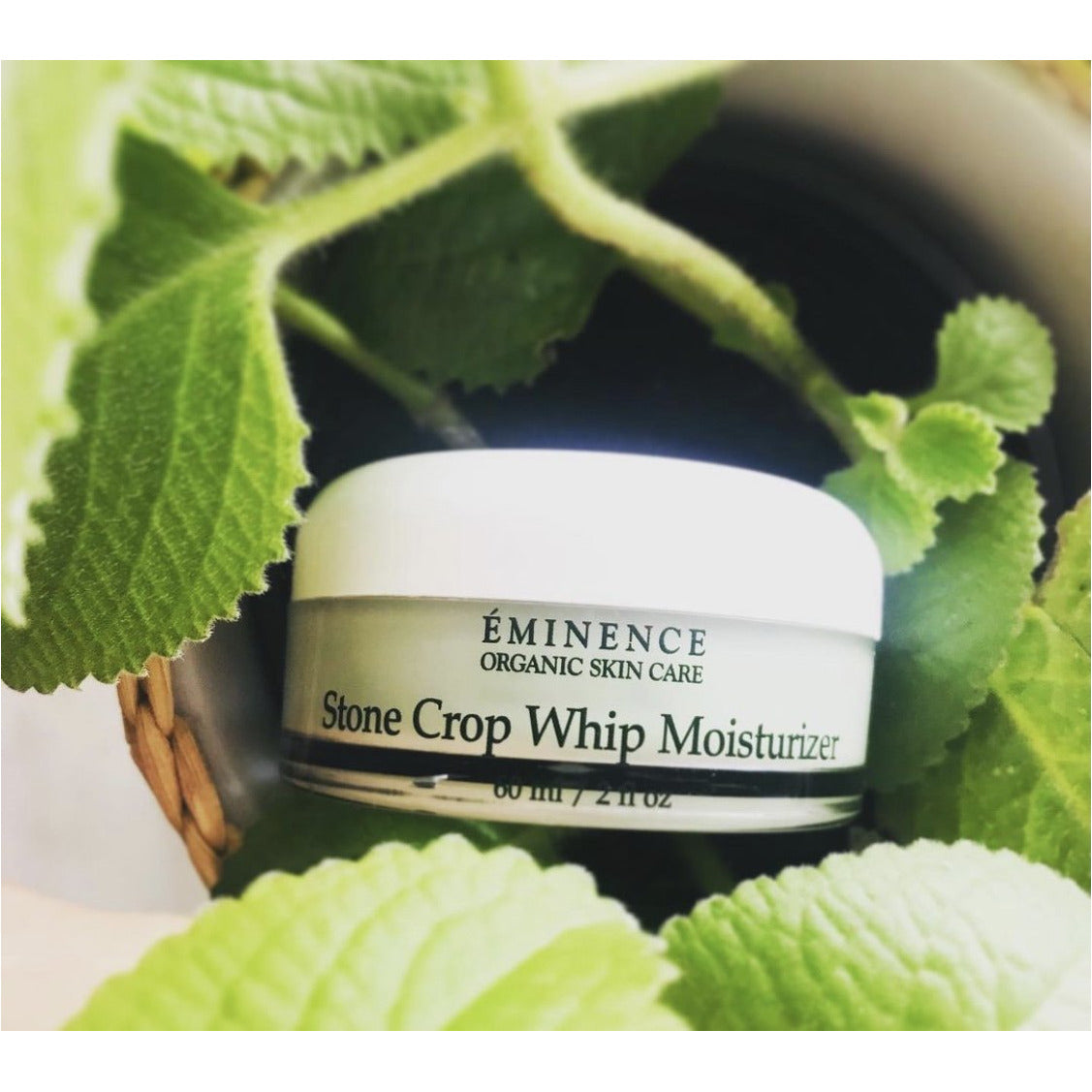 Eminence Organics Stone Crop Whip Moisturizer